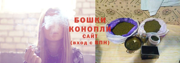 Альфа ПВП Верея